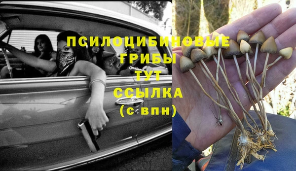 спиды Алексин