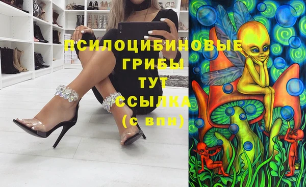 дмт Алексеевка